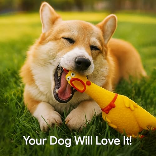 Image of Squeaky Rubber Chicken Dog Toy | Durable Funny Interactive Chew Toy | Loud Squeaky Sound and Stress Relief for Dogs and Puppies | Training Teething Toy | Non Toxic | Prank Noise Maker