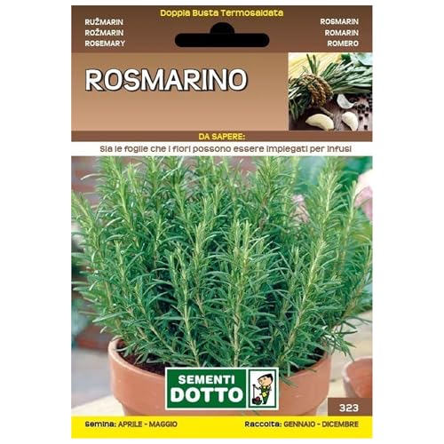 Sicignano | Semi Rosmarino - Pianta Aromatica con Fiori Azzurro-Violetti, Busta Extra - 1 Confezione da 0.07g, Raccolta Annuo