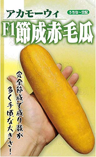 赤毛瓜　赤瓜　赤モーウィ　赤モーイ　20キロ Amazon.co.jp: フタバ種苗 F1節成赤毛瓜 モーウイ : DIY・工具