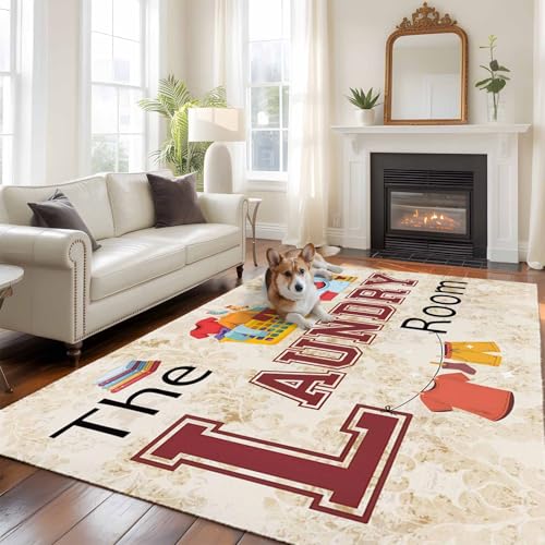 Laundry Room Area Rugs 5'x7', Washable Small Throw Rugs for