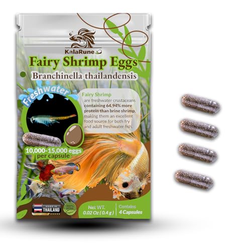 KalaRune Freshwater Fairy Shirmp Eggs - for Hatching High Protein Live Fish Food for Newborn Fry Betta Fish and Other Aquatic Species. 4 Capsules.