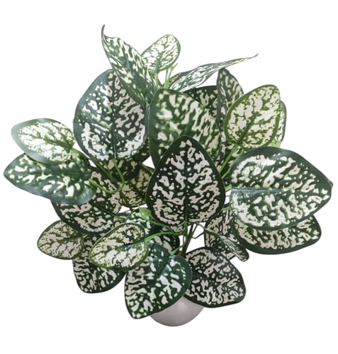 Image of Artificial Money Plant /Tree with Pot, White-Green | Natural Looking, Ornamental Plant, Interior Decor, Home /Shop /Office Decor