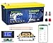 LOSSIGY 24V 100AH Bluetooth Lifepo4 Battery with 29.2V15A Smart Battery Charger,,2560W Deep cycle Lithium Battery,Peak Current 400A,Prefect for RV, trolling motor, Solar System, Marine, Boat