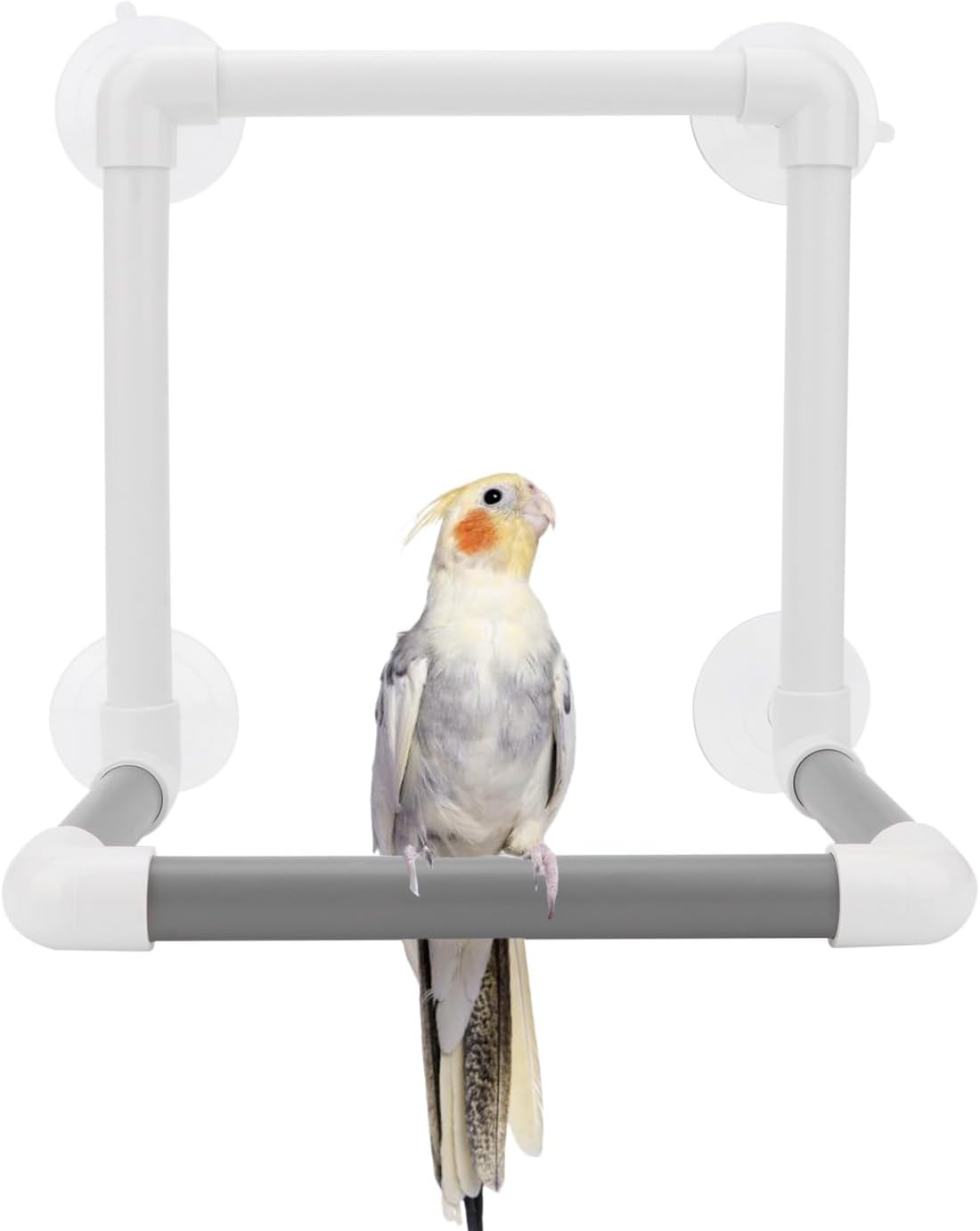 Hypeety Bird Parrot Stand Perch Shower Perch Standing Toy Portable Suction Cup Parrot Bath Stands Suppllies Holder Platform Parakeet Window Wall Hanging Play (4 Suction Cups)