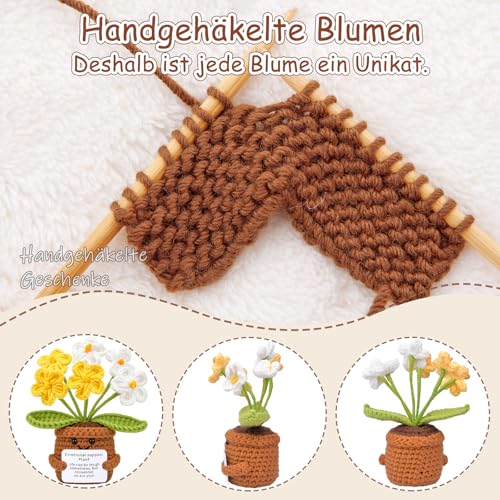 Mwmoeen Pocket Hug Positive Blume, Lustige Positive Strickwolle Sonnenblume Motivationsgeschenke Geschenke für Freundin Kollegen und Famili(P5)
