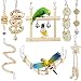 PETUOL Small Bird Swing Toys, 8 Packs Parrots Chewing Natural Wood and Rope Bungee Bird Toy for Anchovies, Parakeets, Cockatiel, Conure, Mynah, Macow and Other Small Birds