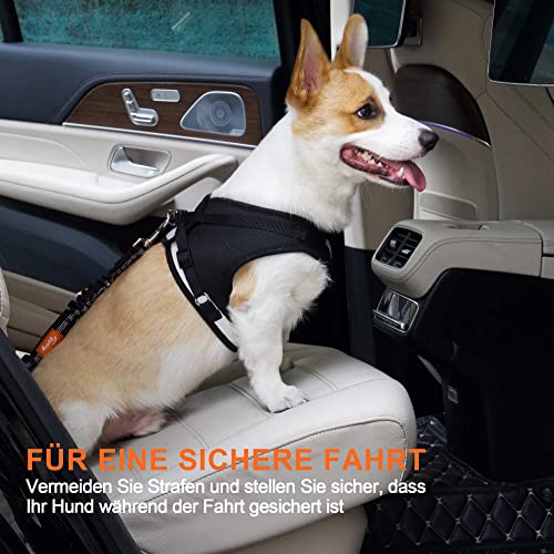 Toozey Hundegurt fürs Auto, Verstellbarer Anschnallgurt, Hundesicherheitsgurt mit Elastischer Ruckdämpfung und Starke Karabiner, für Kleine und Mittlere Hunde und Alle Autotypen, Schwarz
