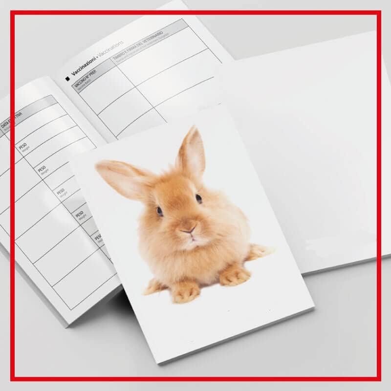 LIBRETTO SANITARIO VETERINARIO 15X21 CM personalizzabile con NOME E FOTO - coniglio - ideale per i nostri amici a 4 zampe (25)