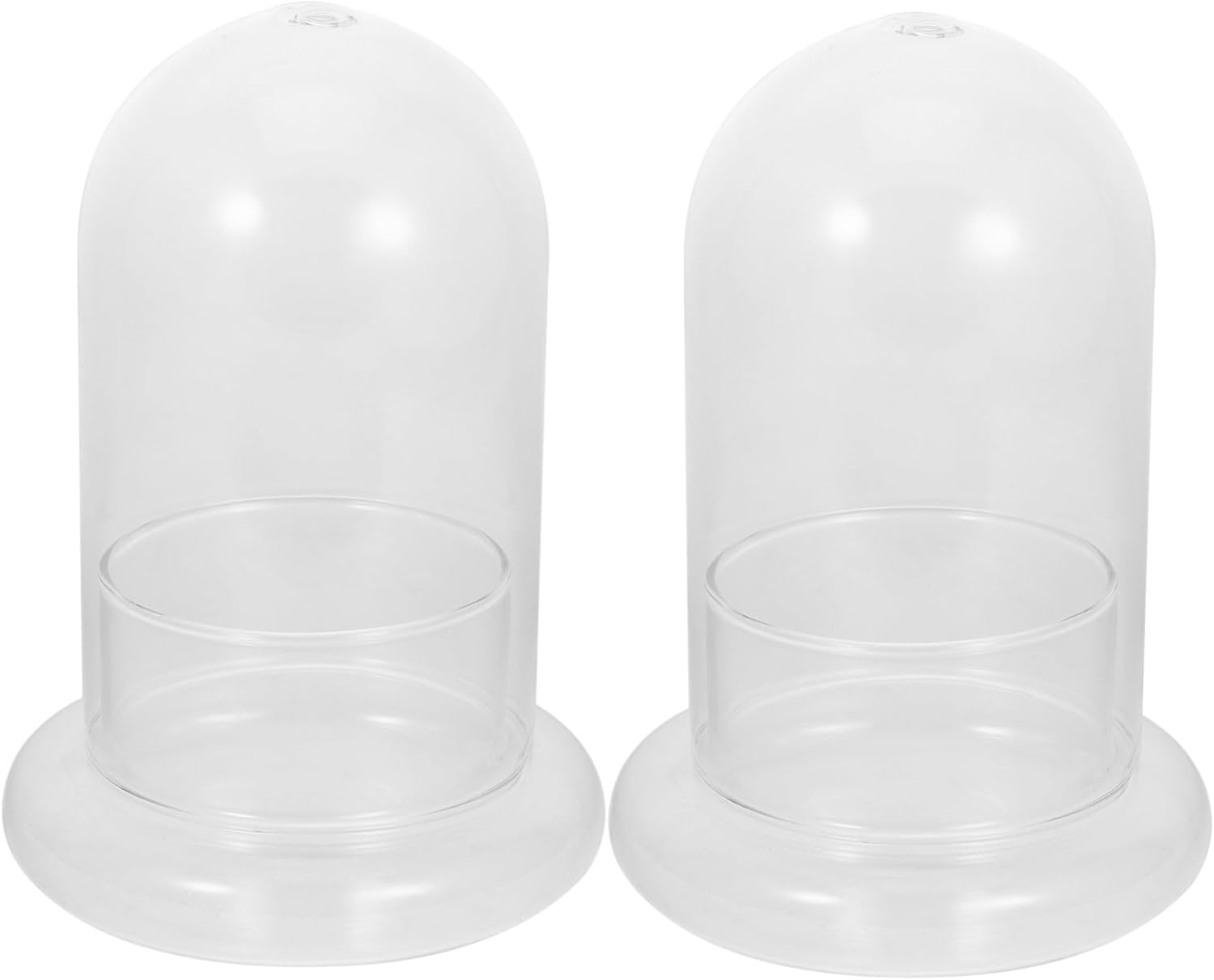 Plant Holder Eco Bottle Moss Glass Bottle Micro Landscape Creation for Home Decor Present for Mother's Day