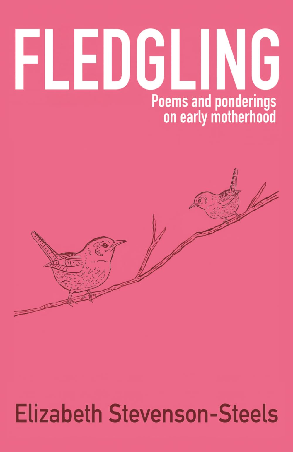 Fledgling: Poems and ponderings on early motherhood