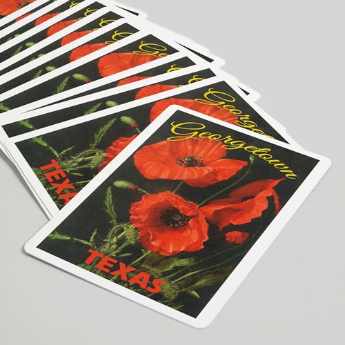 Lantern Press Baraja Poker 52 Cartas Georgetown Texas miniatura 5