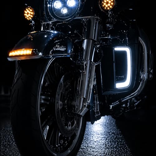 Lámparas LED para motos Eagle Lights SUNBURST Lower Fairing Grill miniatura 2