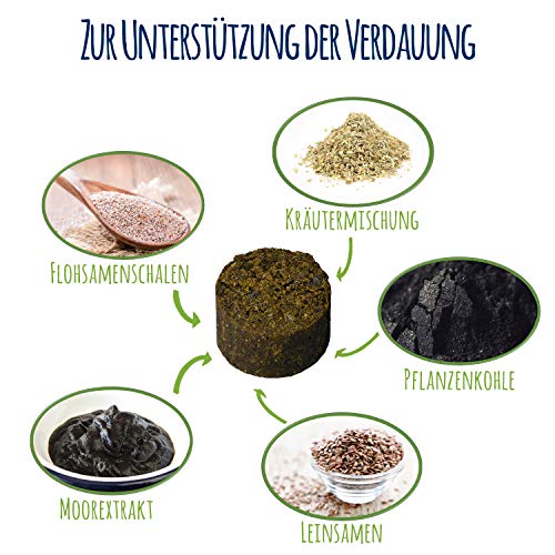 Schnüffelfreunde Magen Darm für Hunde I Unterstützt die Darmflora und natürliche Darmregulierung beim Hund - mit Flohsamenschalen, Pflanzenkohle und Moorextrakt (300g - ca. 360 Stück)