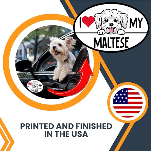 Image of Magnet Me Up I Love My Maltese Dog Breed Car Magnet Decal, 4x6 Inches Oval, Decorative Magnet, Charming and Playful Breed, Cute Peeking Dog Bumper Magnet, Gift for Maltese Dog Lover, Crafted in USA