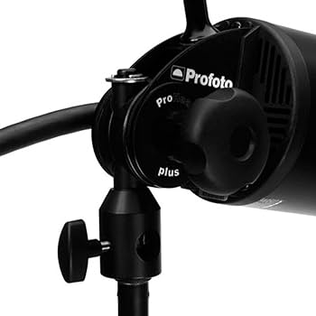 Amazon.com: Profoto ProHead Plus with 500W Modeling Lamp