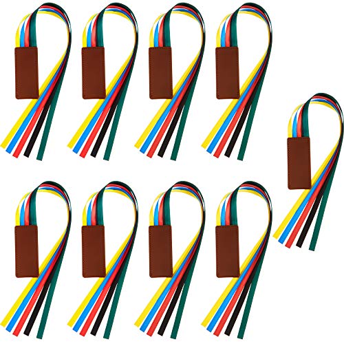 Outus 9 Pieces Bible Ribbon Bookmark Multi Ribbon Page Markers Artificial Leather Bookmark for Books(Colorful Ribbon)