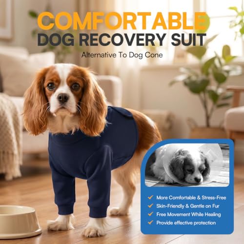 Image of Queenmore Dog Leg Sleeve to Stop Licking, Alternative to Cone of Shame, After Surgery Dog Elbow Protector with Magic Tapes, Recovery Suit for Dogs, Navy Blue, S