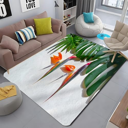 �J�[�y�b�g 1�� �G���A���O �X�g�����`�A ���O �J�[�y�b�g ���r���O���[�� �􂦂郉�O �t �h�_�j �h�L �R�� �Չ��� �ϖ��� �O�~ �����` 100x200 cm �A�E�g�h�A�n�~ ����~�� �t���A�}�b�g - PM3791