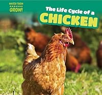 The Life Cycle of a Chicken 1499406665 Book Cover
