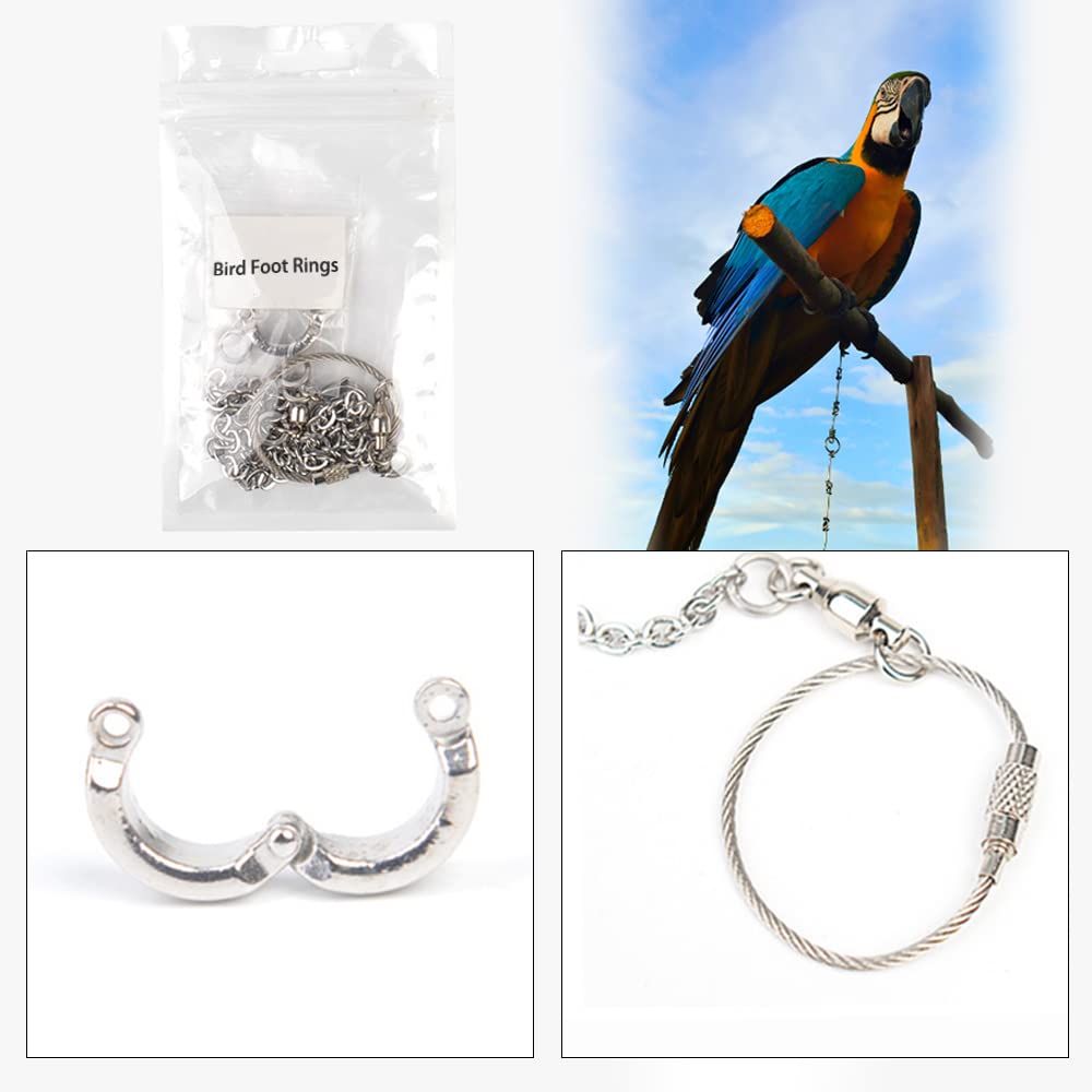 XUSUD Bird Foot Rings Stainless Steel Split Bird Rope Rings Anti-bite Bird Training Chains for Parrot or Starling Bird Pets - Image 3