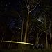 6PCS Lighted Nocks for Crossbow with .300/7.62mm Inside Diameter Led Nocks Arrow nocks for Archery Hunting