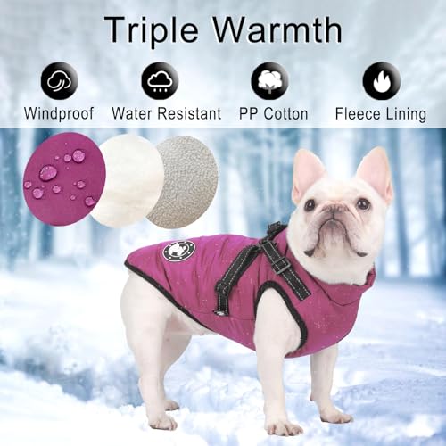 Hundemantel Wasserdicht, Hundemantel Französische Bulldogge, Warme Weste mit Hundegeschirr, Verschiedene Größen,Hundejacke für Kleine Hunde