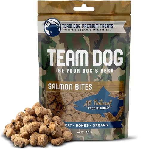 Team Dog Freeze Dried Salmon Dog Treats for Training | Healthy Gluten Free, Grain Free Dog Treats | No Added Fillers, Flavoring or by-Products | for All Breeds & Sizes | 5 Oz Salmon Bites