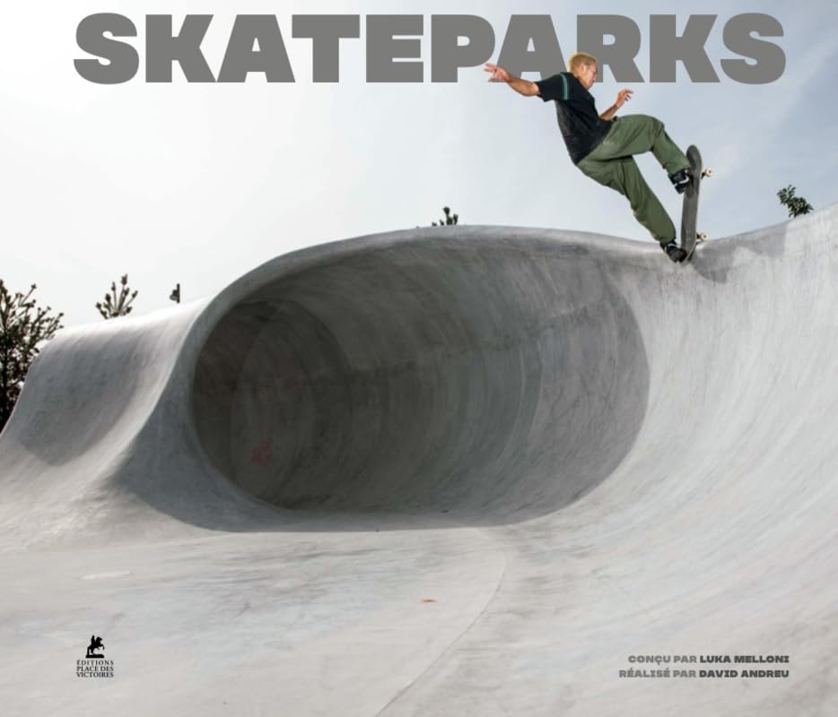 Skateparks durables pour s'entraîner sans dépendre des spots publics