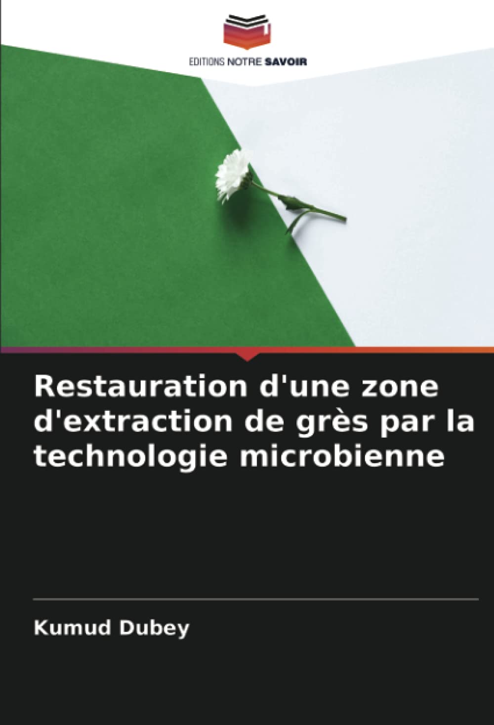 Restauration d'une zone d'extraction de grès par la technologie microbienne
