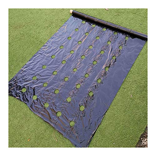 FIDALIKA Agricultura Mulch Película De Plástico De Orificio Perforado, Ancho 95 Cm / 37.34 Pulgadas De Efecto Invernadero Controle Mylar Strawberry Vegetal Planting Herramientas (Size : 0.95x20m)