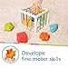 LiKee Shape Sorter Toys for 1+ Years Old, 10pcs Montessori Baby Blocks, Sensory Toddler Learning Toy for Fine Motor Skills, Infant Developmental Toys Gift for Boys Girls Ages 18+ Months