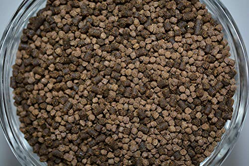 ABF Sinking Pellet & Soft BIT Mix - Freshwater & Marine Fish Food,ABF161 (6oz)