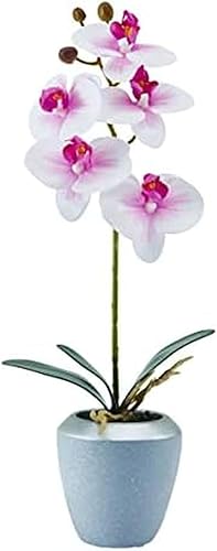 Miniatura 1 de Mikasa Flor artificial de orquídea Phalaenopsis en maceta, decoración floral sintética para boda, hogar, oficina, fiesta, hotel, salón, 21 pulgadas,