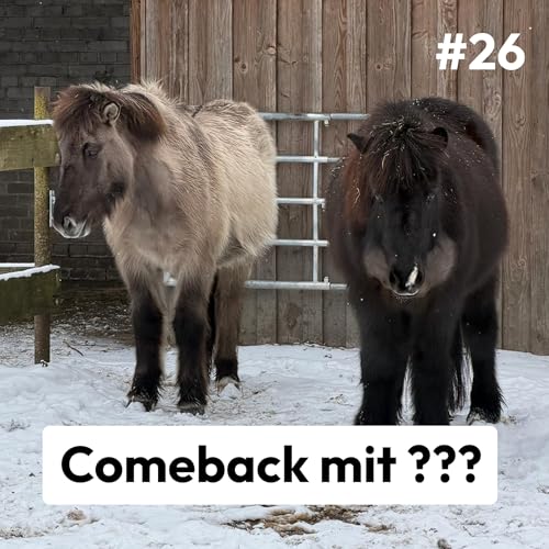 #26 - Comeback mit Fragezeichen