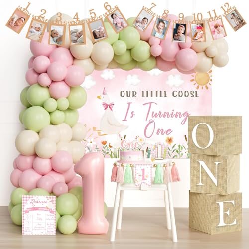 Party Inspo One Silly Goose Birthday Decorations Girl – 108 PCs Silly Goose Birthday Party Supplies with Banner, Balloon Garland Set, Cake Topper, Backdrop, Number 1 Foil Balloon, Boxes, Poster, Crown by Party Inspo - Used condition - US$18.17