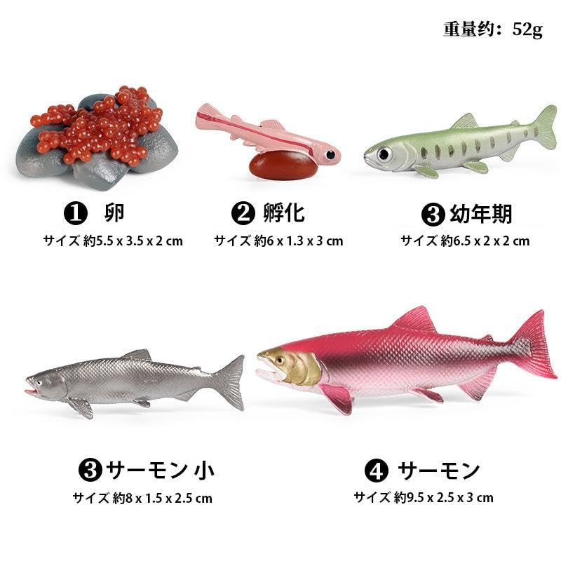 Amazon.co.jp: [猫神山] サーモン サケ 鮭 成長過程 5体 フィギュア