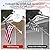 YKFLY Flag Pole Kit 5ft Flag Pole for Outside House, Flag poles with Tangle Free Flag Pole Rings for 3x5 American Flag Mounting Bracket Stainless Steel Heavy Duty for Yard Truck Boat(without Bracket)