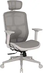 Cadeira Escritório Ergonomica DT3 Diana em Mesh Vidartex™, apoio de cabeça 3D, apoio lombar almofadado com ajuste manual, suporta até 120kg e altura máx. de 1,80m (Grey Frame)