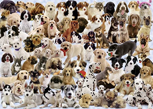 Ravensburger Dogs Galore - 1000 Piece Jigsaw Puzzle for Adults – Every piece is unique, Softclick technology Means Pieces Fit Together Perfectly