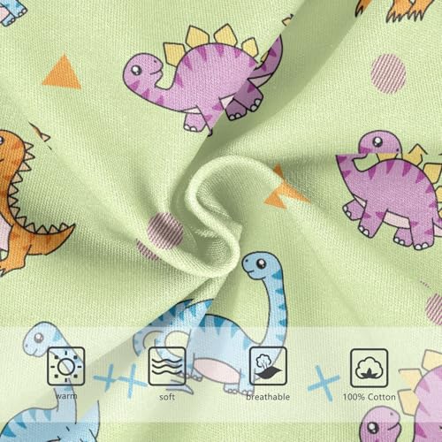 Boys' Underwear Cotton Little Boys Dinosaurs Briefs Soft Toddler Underwear 2T-8Y3