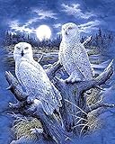 EUOTEO 5D Full Drill Dragon Diamond Painting Kits,DIY Round Diamond Rhinestone Embroidery Eagle Picture Arts Crafts for Home Office Wall Decor 11.8×15.8 Inch(Eagles 3)