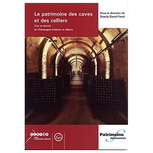 Le patrimoine des caves et des celliers : Actes du Colloque international de l'APIC, A, 17, 18 et 19 mai 2002 (Patrimoine ressources)