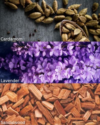 Image of TOXICMALE Cool water + Sauvage elixir | Perfect Long lasting Men's perfume for Office & Daily use | perfumes for men | Gift for him | TMA16 | 50 ml perfume | TM Perfume House