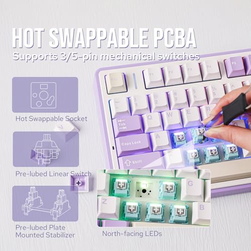 Image of EPOMAKER x Aula F75 Gasket Mechanical Keyboard, 75% Wireless Hot Swappable Gaming Keyboard with Five-Layer Padding&Knob, BT /2.4GHz /USB-C, RGB (Purple, LEOBOG Reaper Switch)