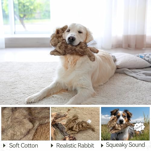 All For Paws Hundespielzeug Hase mit Quietschfunktion, 30 cm