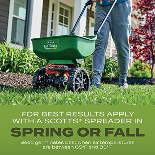 Grass Seed Blends For Sandy Soil Beach Properties