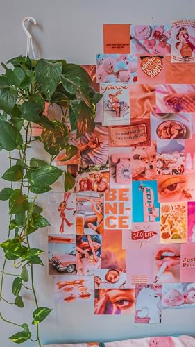 Image of Paper9store Pack Of 50 Aesthetic Wall Collage Kit - 4?6 Inches Self Adhesive Wall Posters For Bedroom, Living Room, Office A6 Size (Peachy)