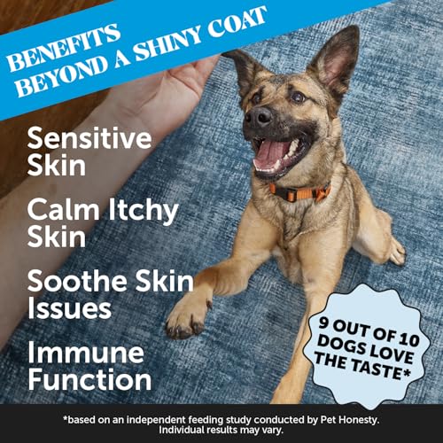 Image of Omega 3 for Dogs Skin and Coat Supplement - Salmon Oil Fish Oil Chews for Itchy Skin Relief, Dry Skin, Shedding Control & Shiny Coat - Dog Vitamins with Biotin & Vitamin E (Salmon, 90 Ct)
