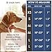 Spark Paws Taktisches Hundehalsband – Robuste, Premium-Qualität, Dick und Langlebig für Große und Mittelgroße Hunde - 90s Retro – L – 3,8 cm