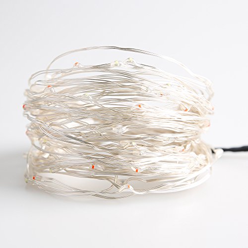 Lidore Led Fairy String Light Decorative Light For Patriotic Theme Birthday Wedding Baby Shower Party Indoor And Outdoor Different Twinkle Modes 100 Counts 110V Plug In #TOP7